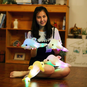 LED Dolphin Plush Toy